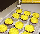 Hb Sp 16Cupcakes