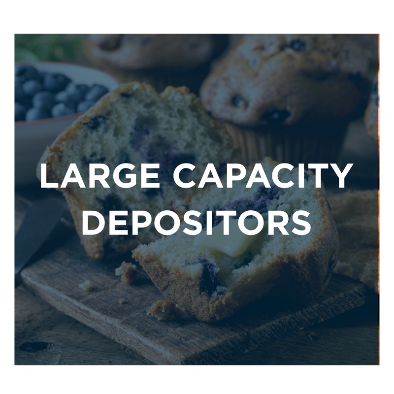 Large Capacity Depositors